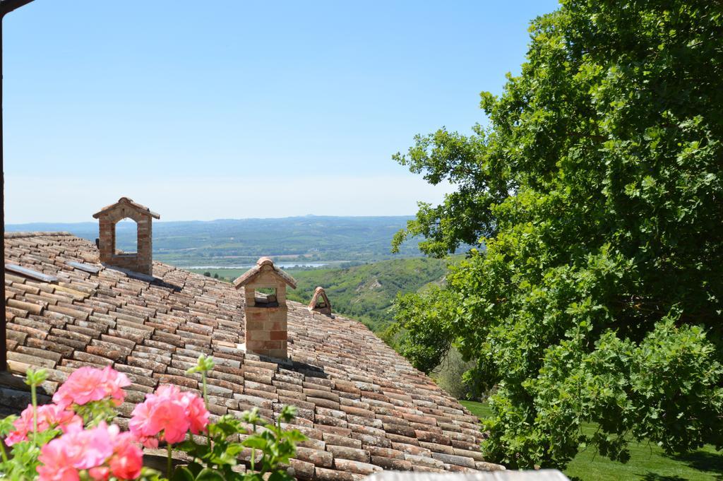Luxury Villa Colle Dell'Asinello ,Proprietari ,Villa In Esclusiva Near Orvieto Guardea Luaran gambar