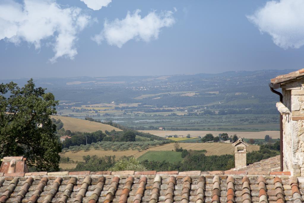 Luxury Villa Colle Dell'Asinello ,Proprietari ,Villa In Esclusiva Near Orvieto Guardea Luaran gambar